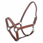 Tabelo Leather Halter with  Snap