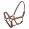 Tabelo Leather Halter w/ Snap