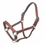 Tabelo Leather Halter with  Adjustable Chin