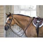 OEQ Flat Standing Martingale