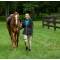 Oak Equestrian OEQ Lexi Softshell Fleece Lined Ladies Jacket